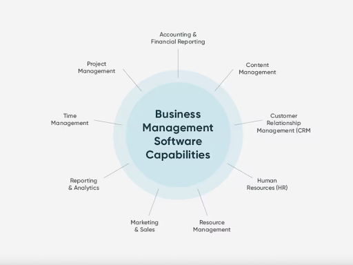 What is business management software